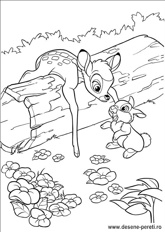 bambi desene colorat